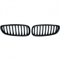 Parrilla Deportiva Set Z4 Bmw Año:  09-&gt;&gt;