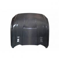 Capó Carbono Ford Mustang 2017 Look Gt-350-R - Fibra De Carbono