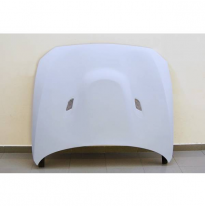 CAPO FIBRA VIDRIO BMW F20 CON TOMA - Capó Fibra de vidrio