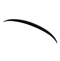 Alerón BMW F10 10-16 M5 Carbono Fibra de Carbono