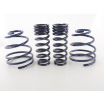 Muelles Deportivos Porsche 911 Turbo (996) Va/Ha Ca. 30 Mm Fk Automotive