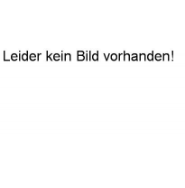 Tubo de repuesto para Silenciador delantero FOX Mini Cooper Clubman R55