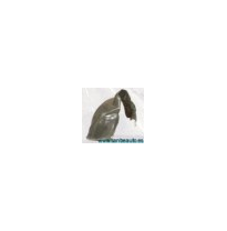 Protec.Pasorueda Lacetti Del.Izq.