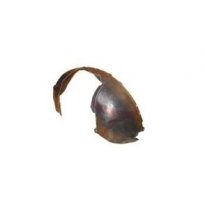 Volvo S80 99-06*plastico Pase De Rueda Delantero. Dch