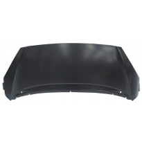 Peugeot 1007 04-*Capot