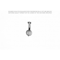 Citroen C3 02-*Tapa Gancho Remolque Paragolpes Delantero Para Pintar