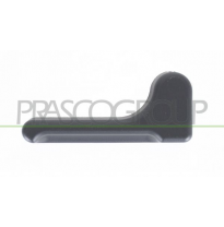 PALANCA PORTON TRASERO-NEGRA