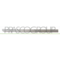 MOLDURA PUERTA TRASERA DERECHA IMPRIMADA MOD. 5 PUERTAS