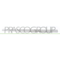 MOLDURA PUERTA DELANTERA DERECHA-NEGRO/LISO MOD. 5 PUERTAS