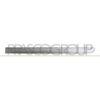 MOLDURA PUERTA TRASERO IZQUIERDA-NEGRO/LISO MOD. 5 PUERTAS