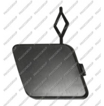 Tapagancho Delantero