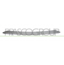 MOLDURA CENTRAL PARAGOLPES TRASERO-PLATA