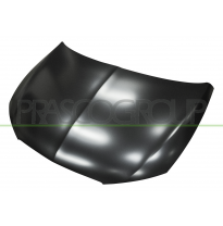 SEA LEON 12 -* CAPO (CHAPA)