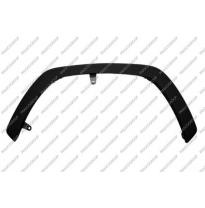 CERCO ALETA DELANTERO IZQUIERDO