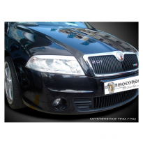 Pestañas De Faro Skoda Octavia Ii 2004-2008 (Abs)