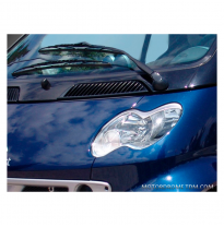 Pestañas De Faro Mcc Smart Fortwo 2002-2006 (Abs)