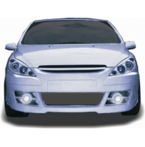 Paragolpe Peugeot 307 Veja Delantero