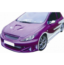 Paragolpe Peugeot 307 Delantero