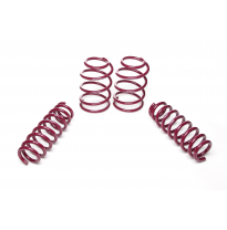 Muelles rebajados Vogtland BMW  1er, E81 / E87 187, 1K2, 1K4 AÑO: 09.2004 - 06.2012 REBAJA: 40 / 25