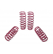 Muelles rebajados Vogtland BMW  5er, F10 5L AÑO: 01.2010 -  REBAJA: 30 / 30