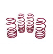 Muelles rebajados Vogtland Ford  Mustang S197 AÑO: 2005 - 2014 REBAJA: 30 / 30