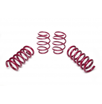 Muelles rebajados Vogtland Ford  Mustang S550 AÑO: 2015 -  REBAJA: 25 / 25