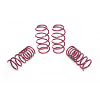 Muelles rebajados Vogtland Fiat  500 312 AÑO: 10.2007 -  REBAJA: 25 / 35