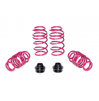 Kit muelles Ajustable Vogtland Audi A3 8Y, GY AÑO: 03.2020 -  REBAJA: 45 / 30 - 55