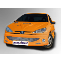 Kit Carroceria Peugeot 206 Neptune