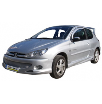 Paragolpes Delantero Peugeot 206