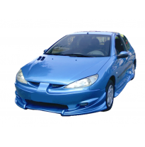 Paragolpes Delantero Peugeot 206 Flash
