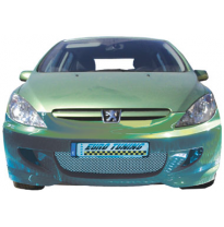 Paragolpes Delantero Peugeot 307