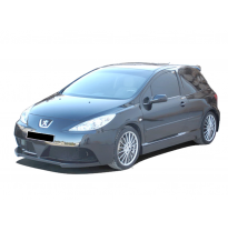 Paragolpes Delantero Peugeot 307 Futuriste