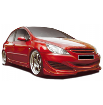 Paragolpes Delantero Peugeot 307 Mars