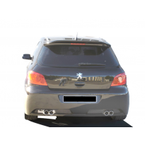 Paragolpes Trasero Peugeot 307 Futuriste