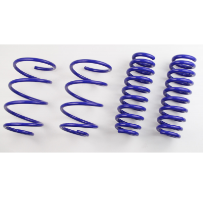 Kit Muelles Renault Megane Sedan M 11/2002- 1.9 Dci 96kw - Ap Suspension - Rebaje Delant:40 Detras: 30