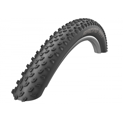 Schwalbe RACING RAY 29x2.25 folding black Performance Line