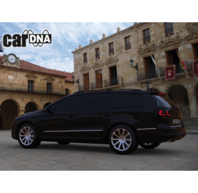 Pilotos Led Vw Passat 3c Variant 05-10 _Rojo/Ahumado