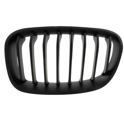 Parrilla Bmw F20 1er 12+ _ Negro