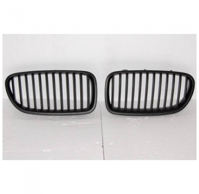 PARRILLAS BMW E53 99-03 - Parrilla frontal