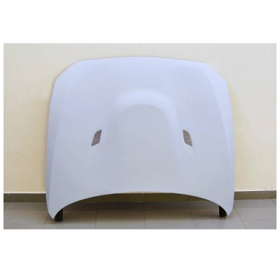 CAPO FIBRA VIDRIO BMW F20 CON TOMA - Capó Fibra de vidrio