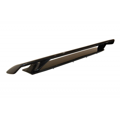 Alerón Audi TT 06-14 8J Carbono Fibra de Carbono