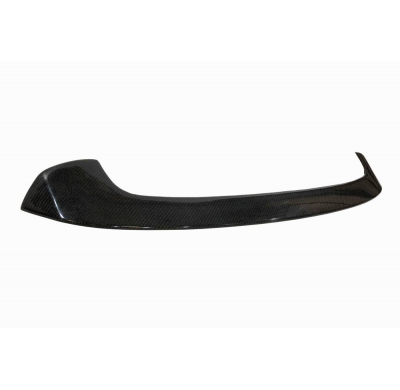 Alerón BMW F20 / F21 Carbono Fibra de Carbono