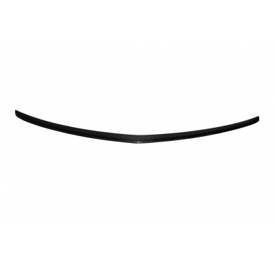 Alerón Mercedes W207 2010-2012 2P Carbono Fibra de Carbono