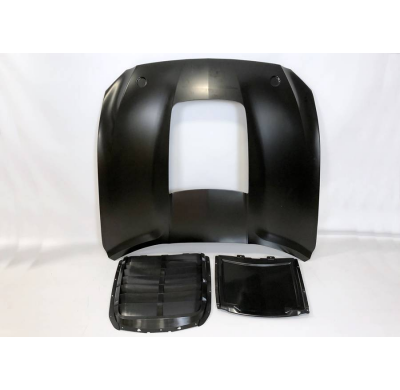 Capó Ford Mustang Look GT500 15-17 Aluminio Metal