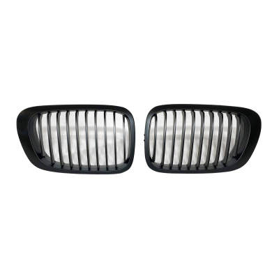 Parrillas BMW E46 Plástico ABS