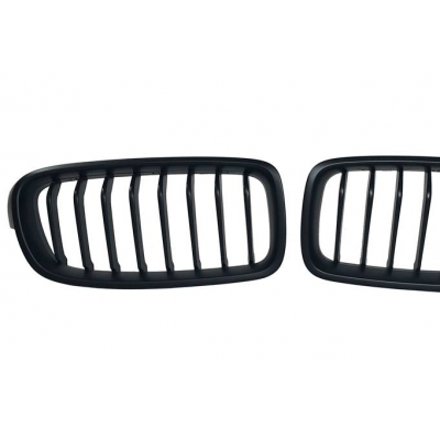 Parrilla BMW F30 Mod II Plástico ABS