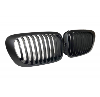Parrillas BMW E46 Plástico ABS
