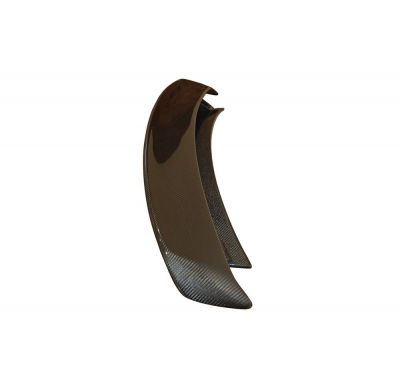 Alerón Audi TT 06-14 8J Carbono Fibra de Carbono