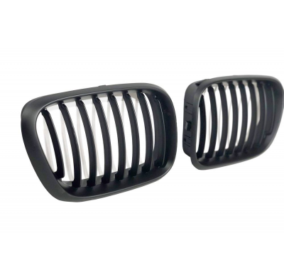 Parrillas BMW E53 99-03 Plástico ABS